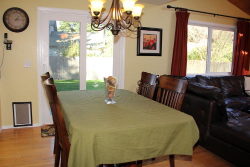 Lower level fireplace